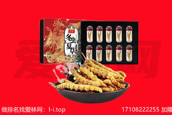 清河门区回收虫草.jpg